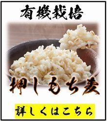 yuukisaibaiosimotimugi.jpg