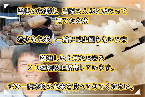 takitatemai.jpg
